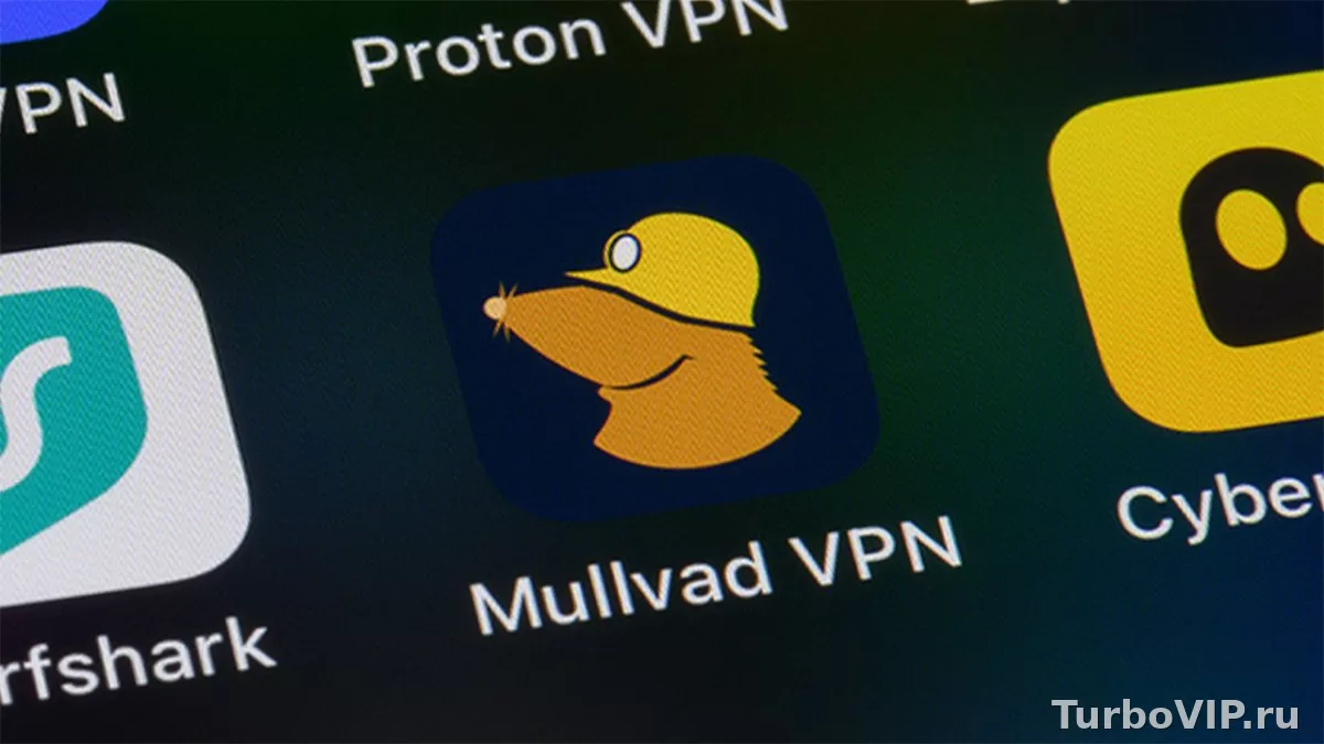 Mullvad VPN или Amnezia VPN: что выбрать для приватности и стабильного подключения