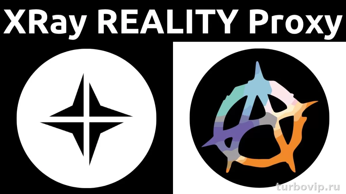 Amnezia VPN XRay VLESS Reality: что это за протокол и когда выбирать его вместо AmneziaWG